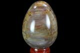 Colorful Petrified Wood Egg #98687-1